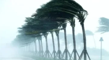 حالة الطقس الخميس: أجواء مشمسة في الصعيد وغائمة على القاهرة الكبرى